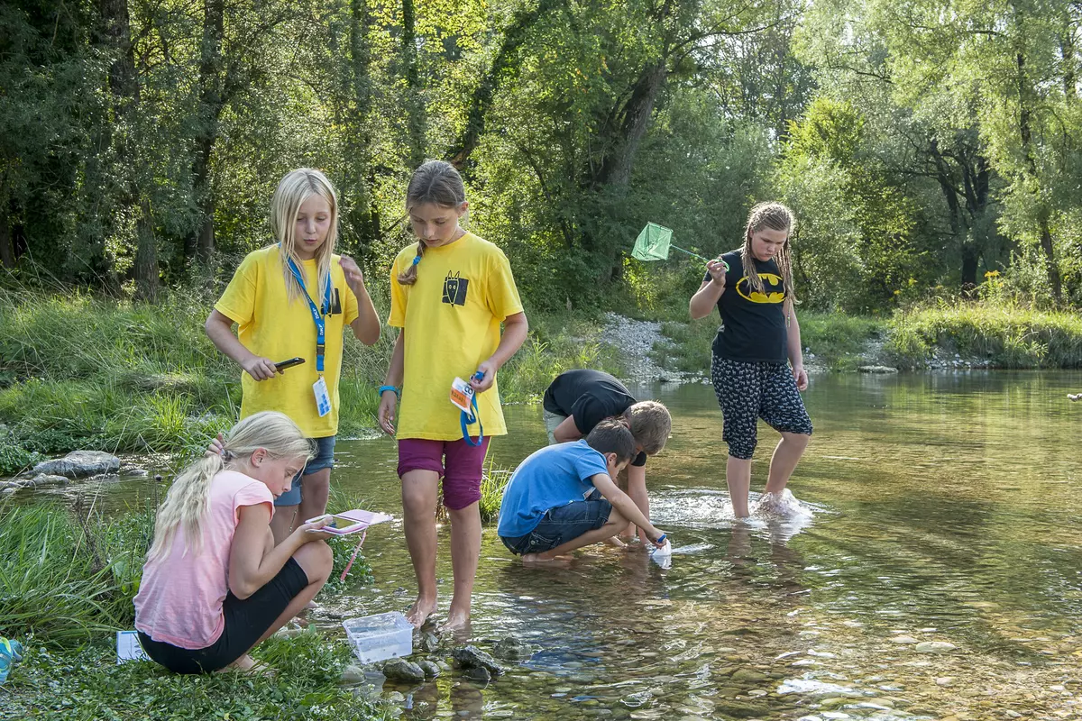 Gruppe von Kindern untersucht im seichten Wasser Wassertiere