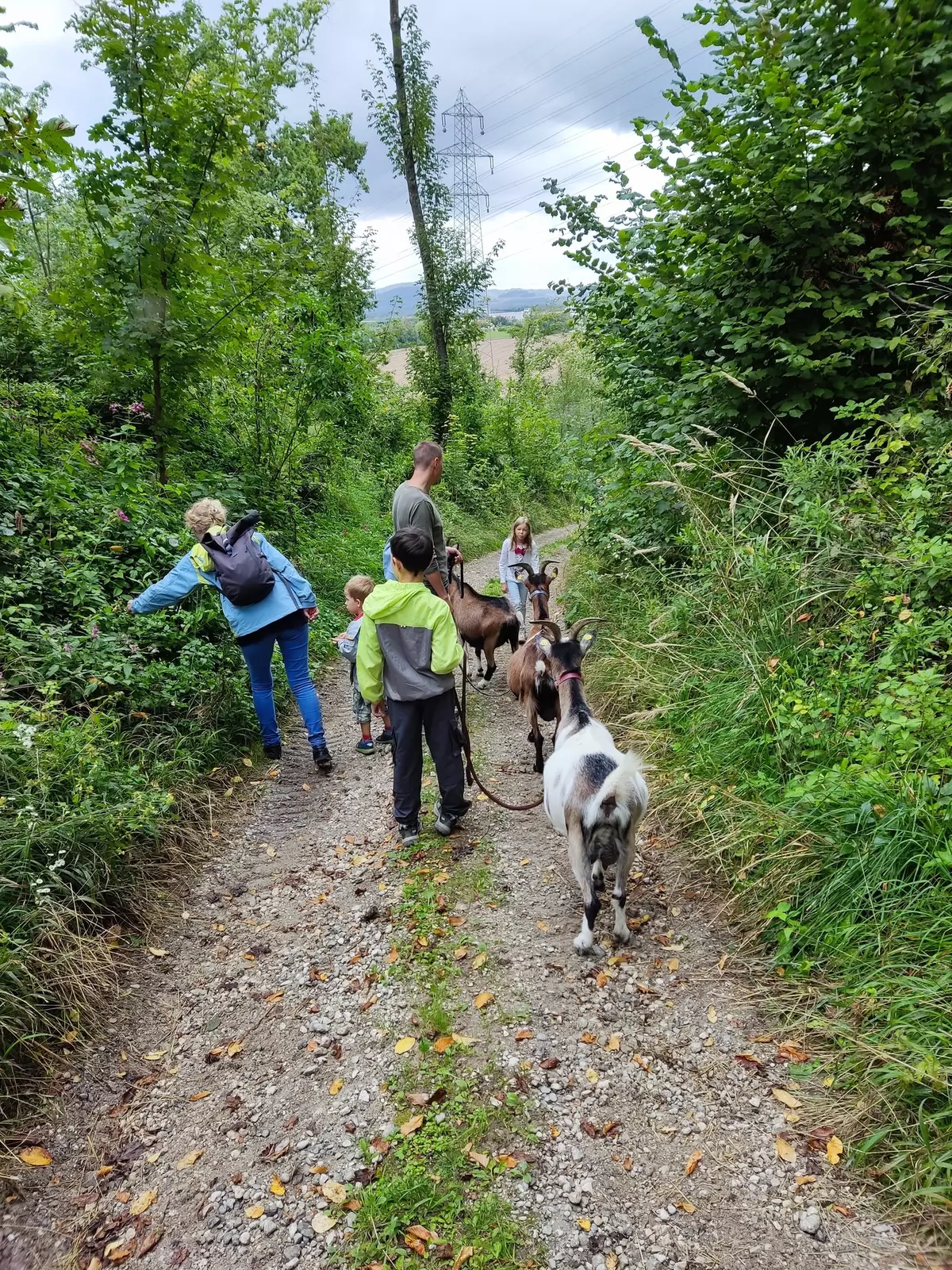 Kindergruppe mit Ziegen