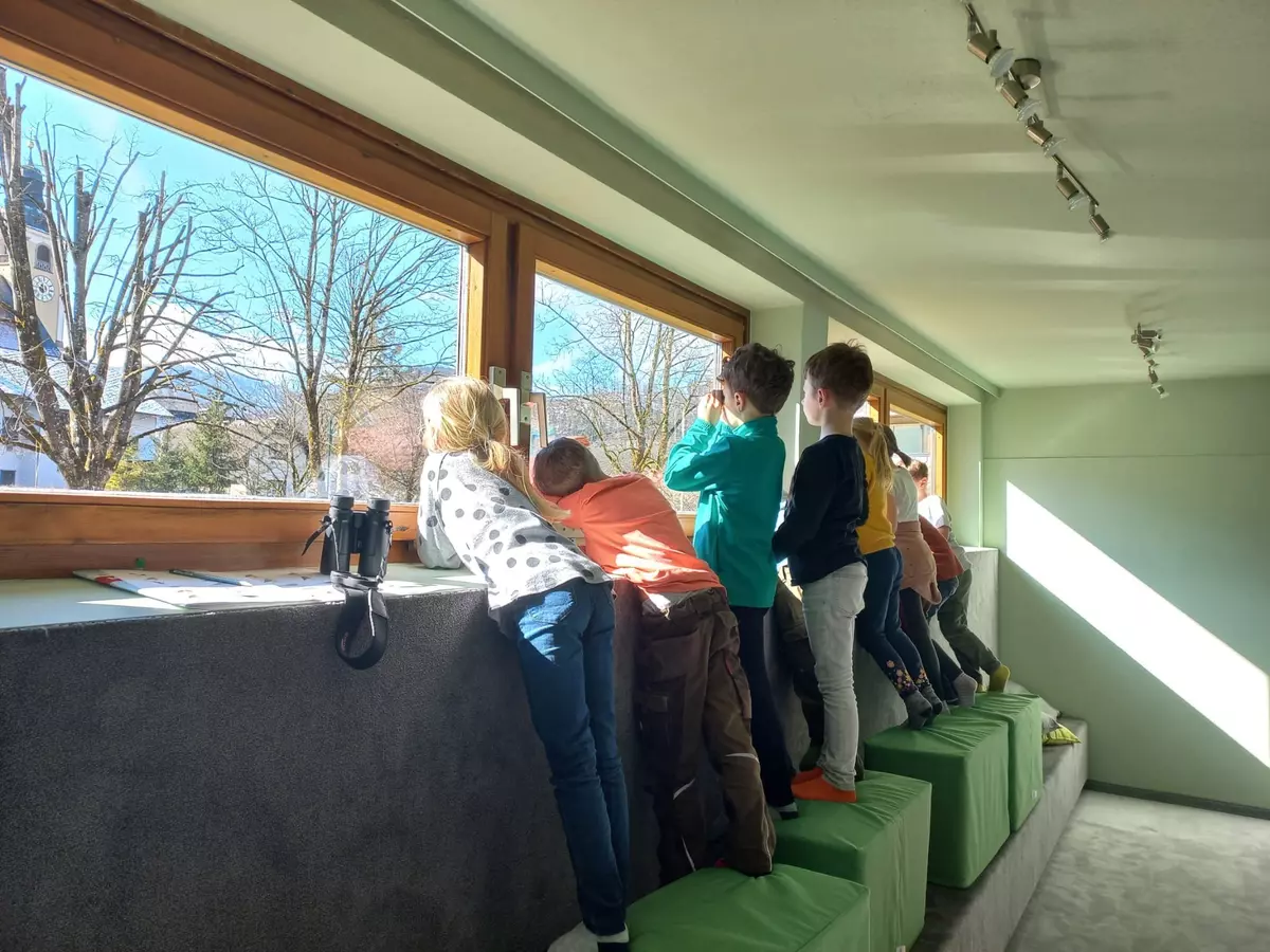 Schüler:innen beobachten Vögel