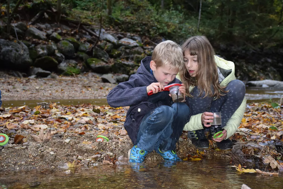 Kinder mit Becherlupe am Bach