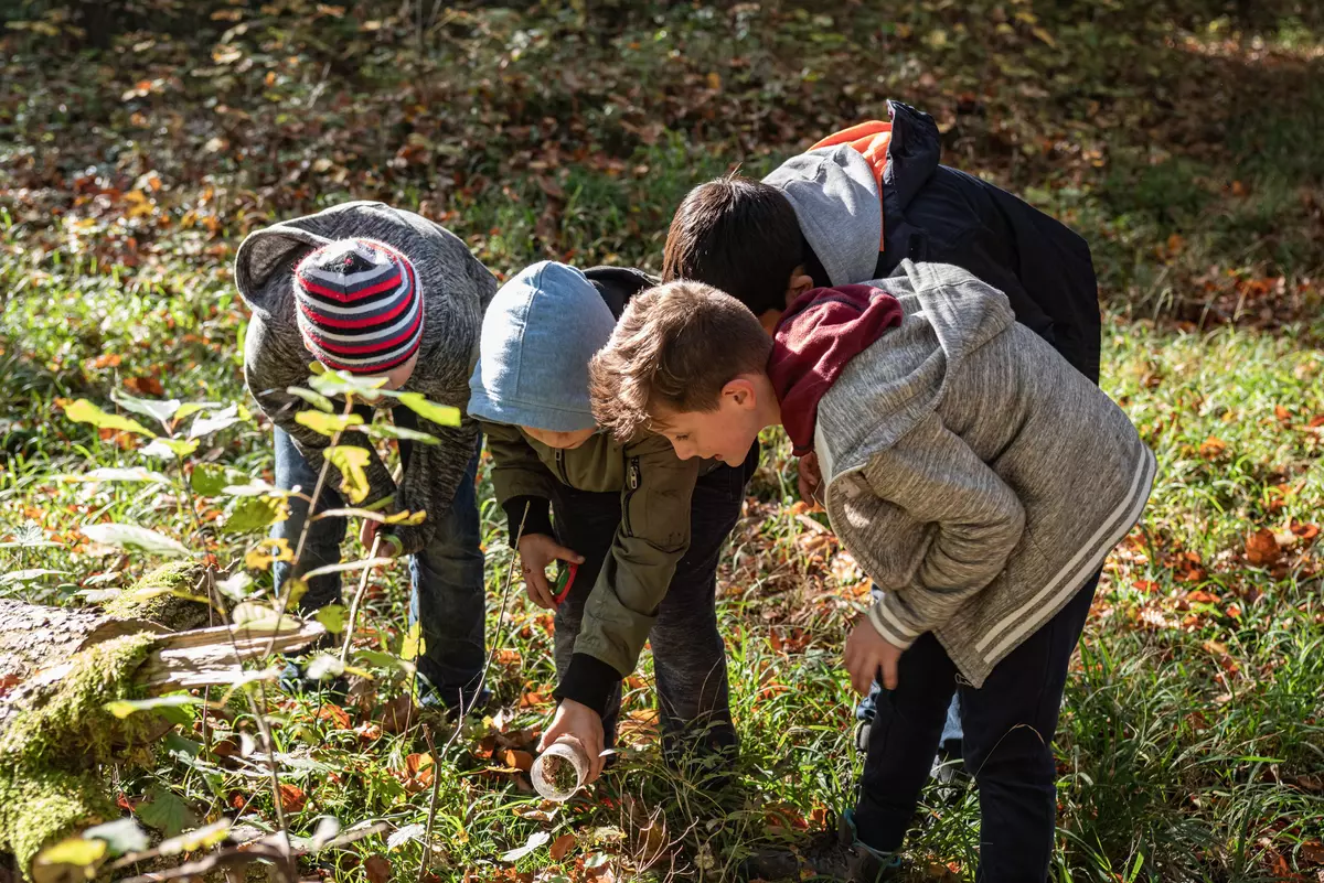 Kindergruppe mit Becherlupe