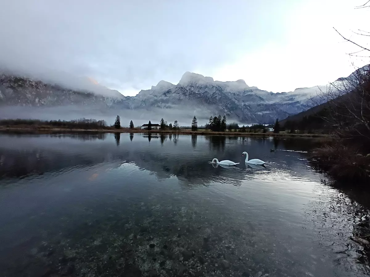 Blick auf den Almsee und das Gebirge ringsherum