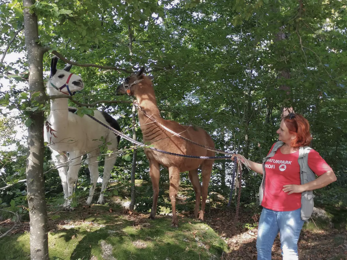 NATURSCHAUSPIEL-Tour