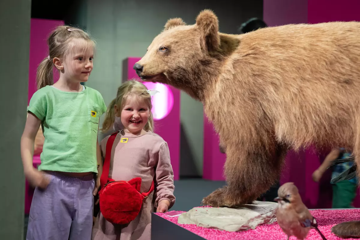 NATURSCHAUSPIEL im Schlossmuseum Linz