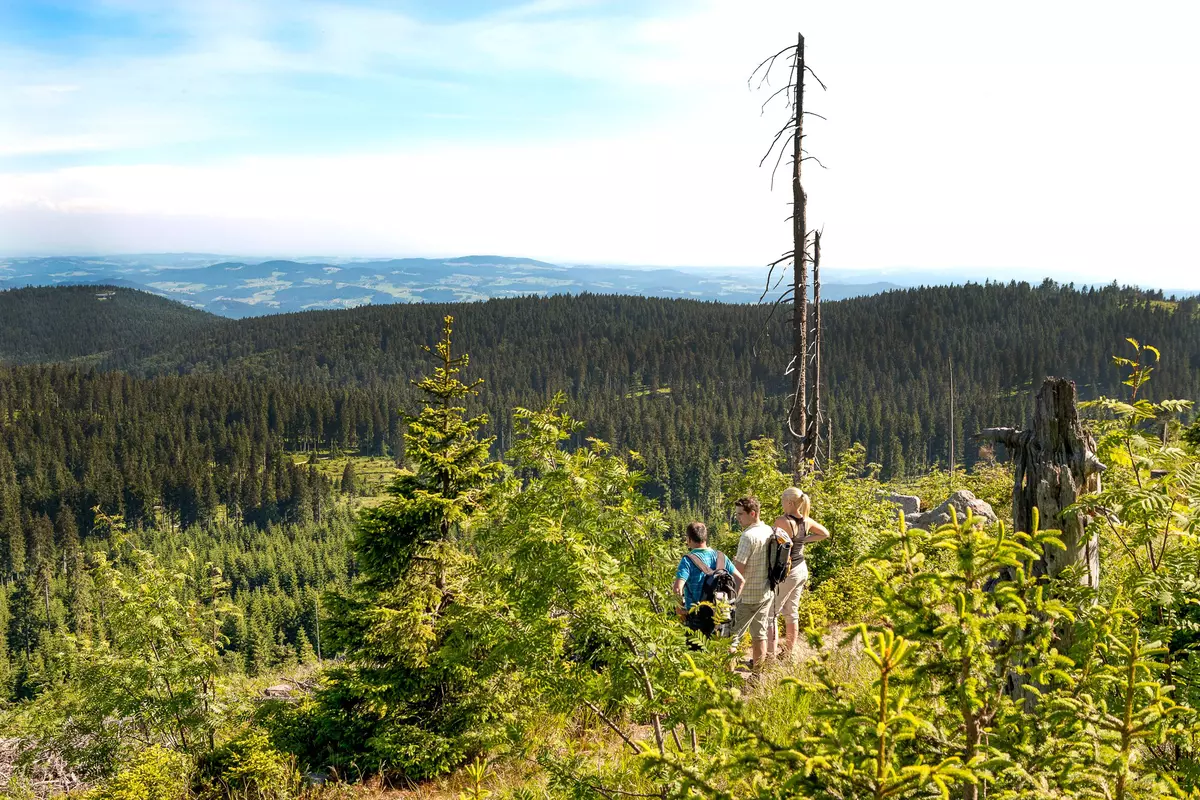 Gruppe vor Waldpanorama