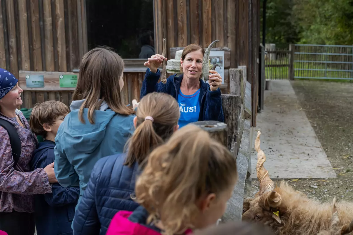 Guide zeigt Kindern Hörner