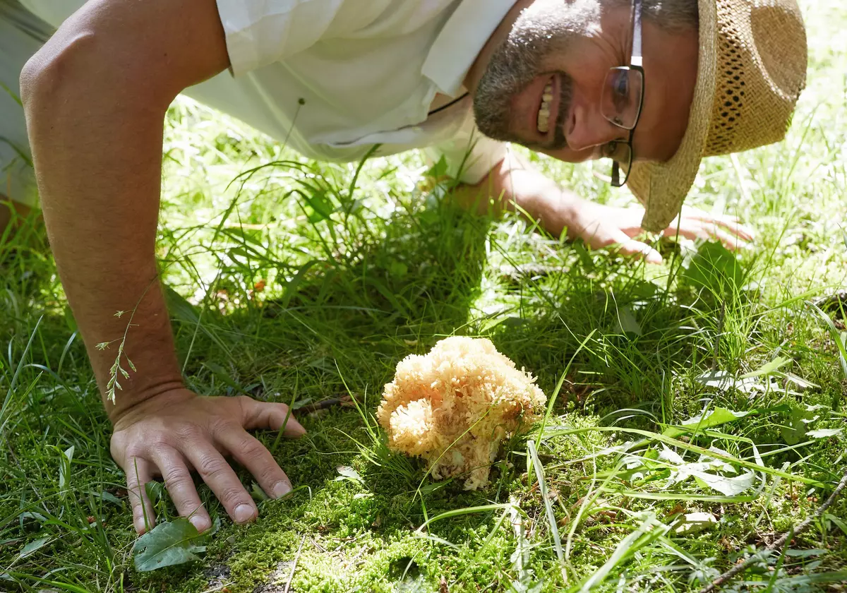 Teilnehmender betrachtet einen Pilz in der Wiese