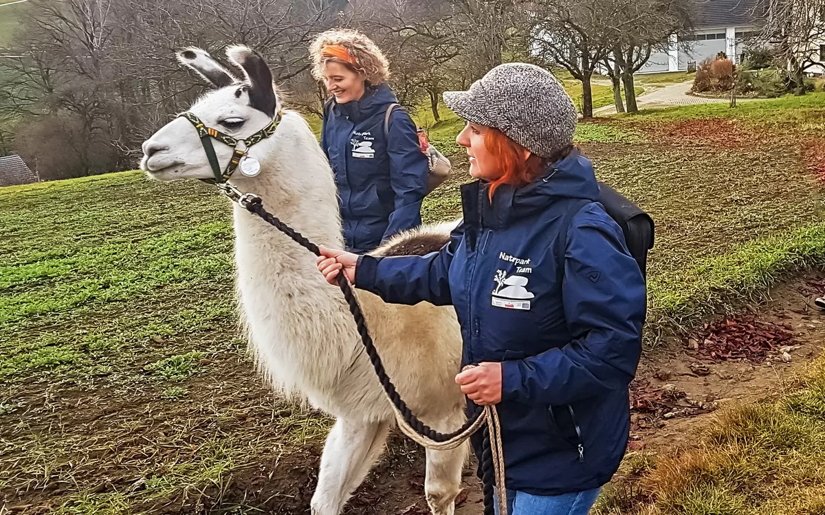 Zwei weibliche Guides mit Lama