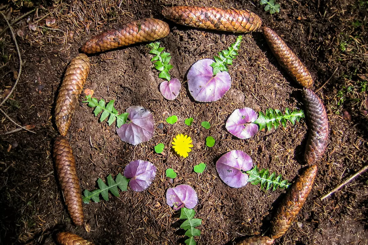 Landart mit Zapfen am Waldboden