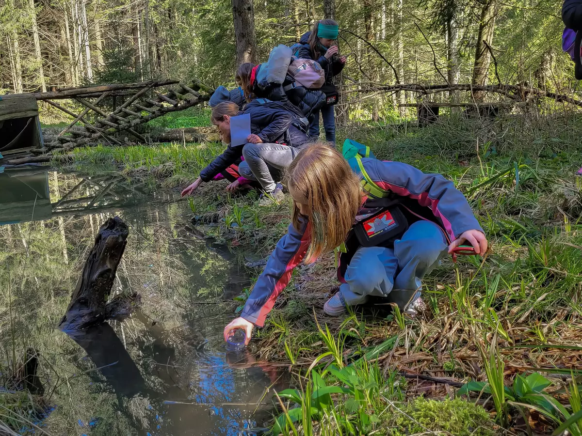 Mädchen sammelt mit seinem Sammelglas etwas am Wasser