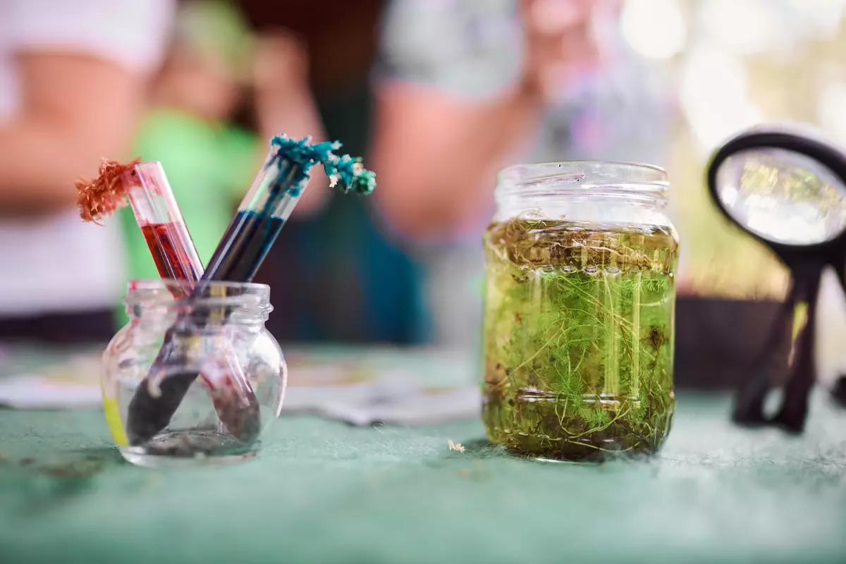 NATURSCHAUSPIEL-Tour