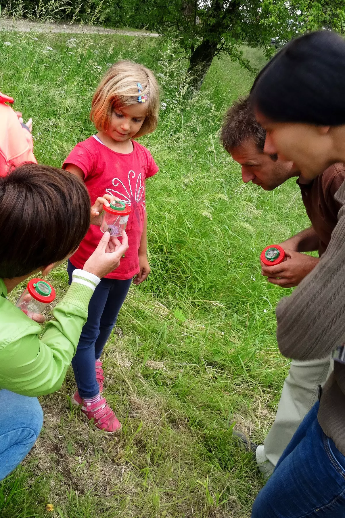 Familie mit Becherlupe in Wiese