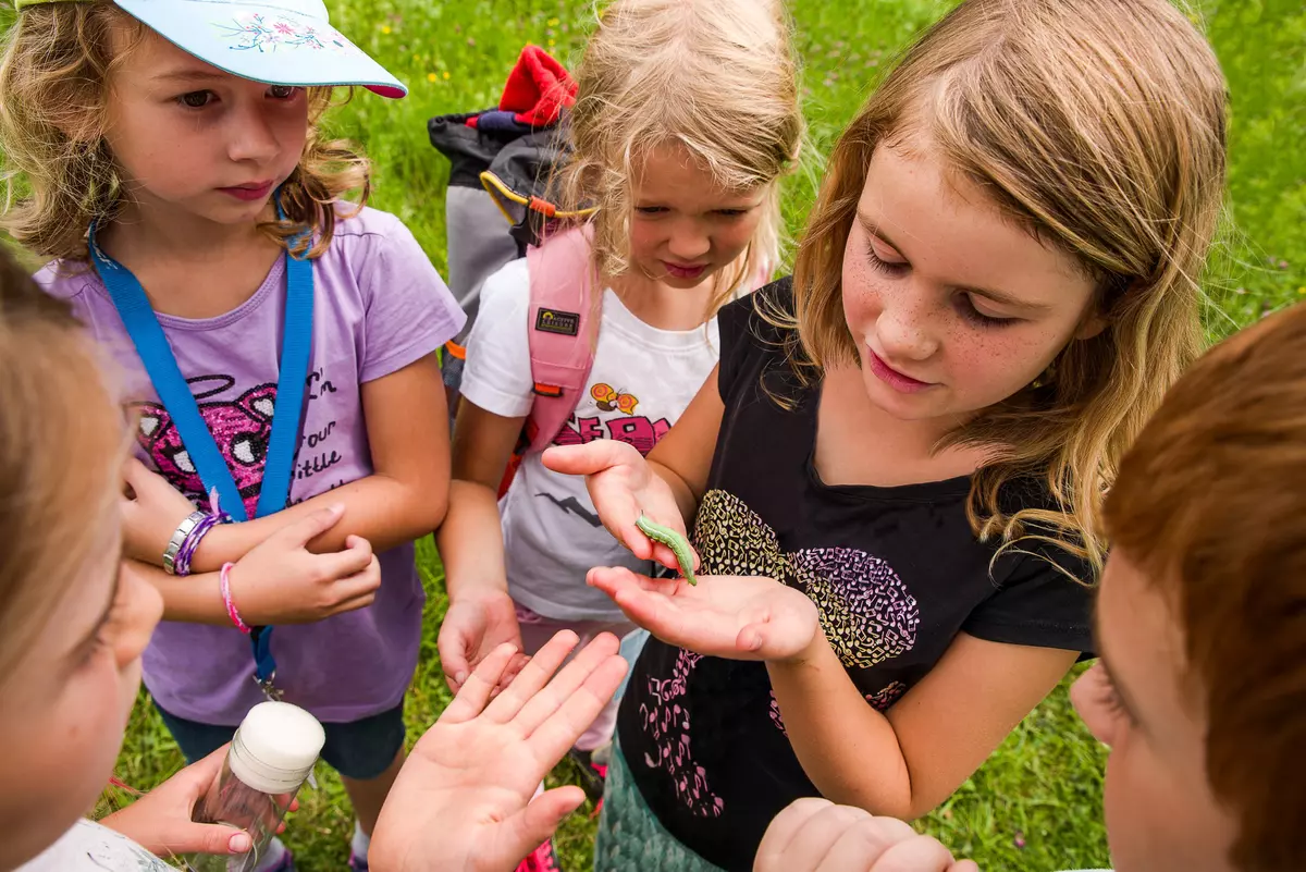 Kindergruppe mit grüner Schmetterlingsraupe 