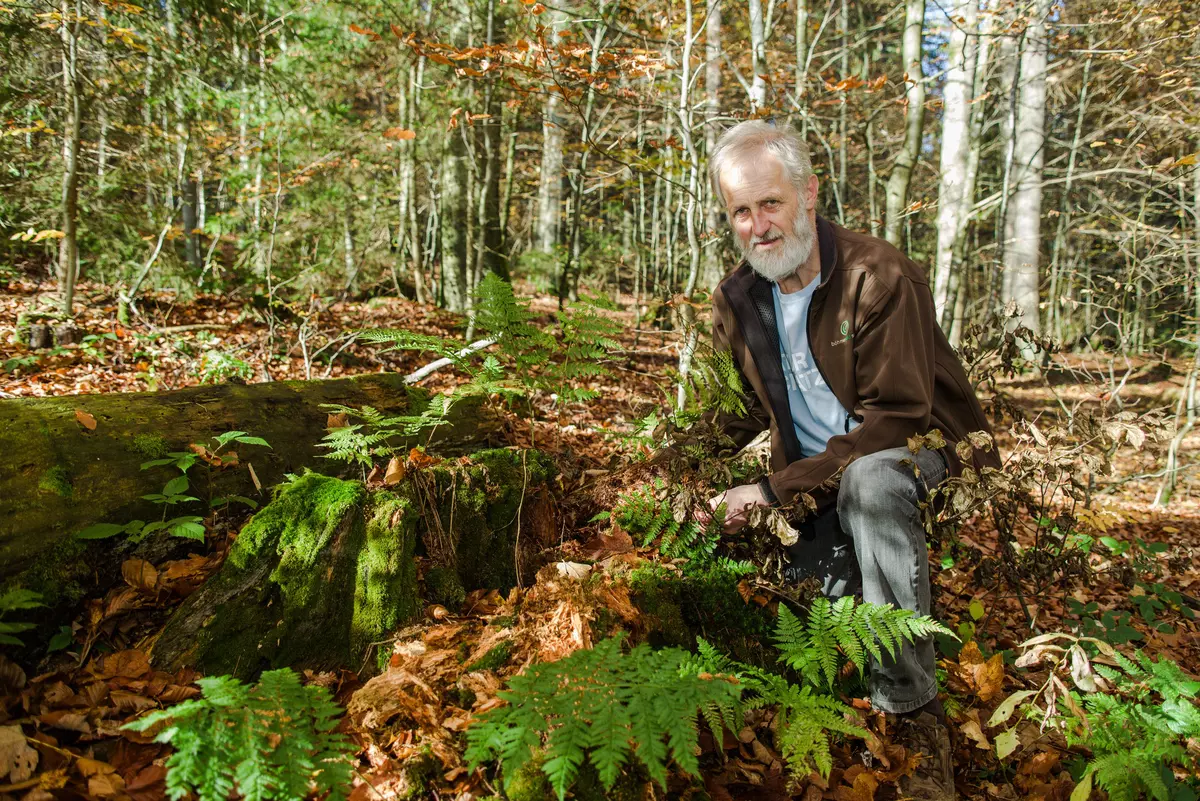 Guide hockend neben Baumstumpf