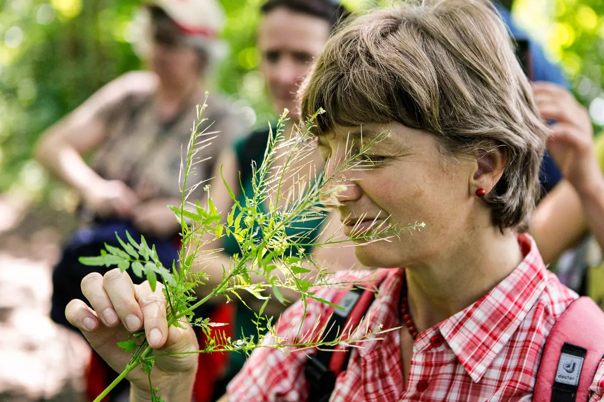 Frau riecht an Pflanze