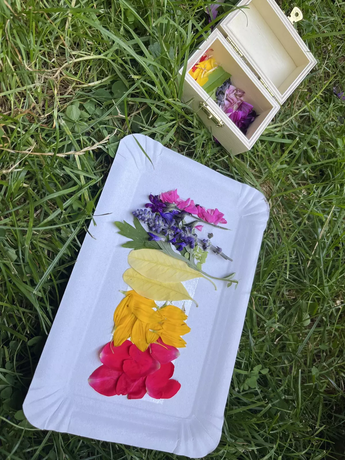 Papierteller mit bunten Blüten