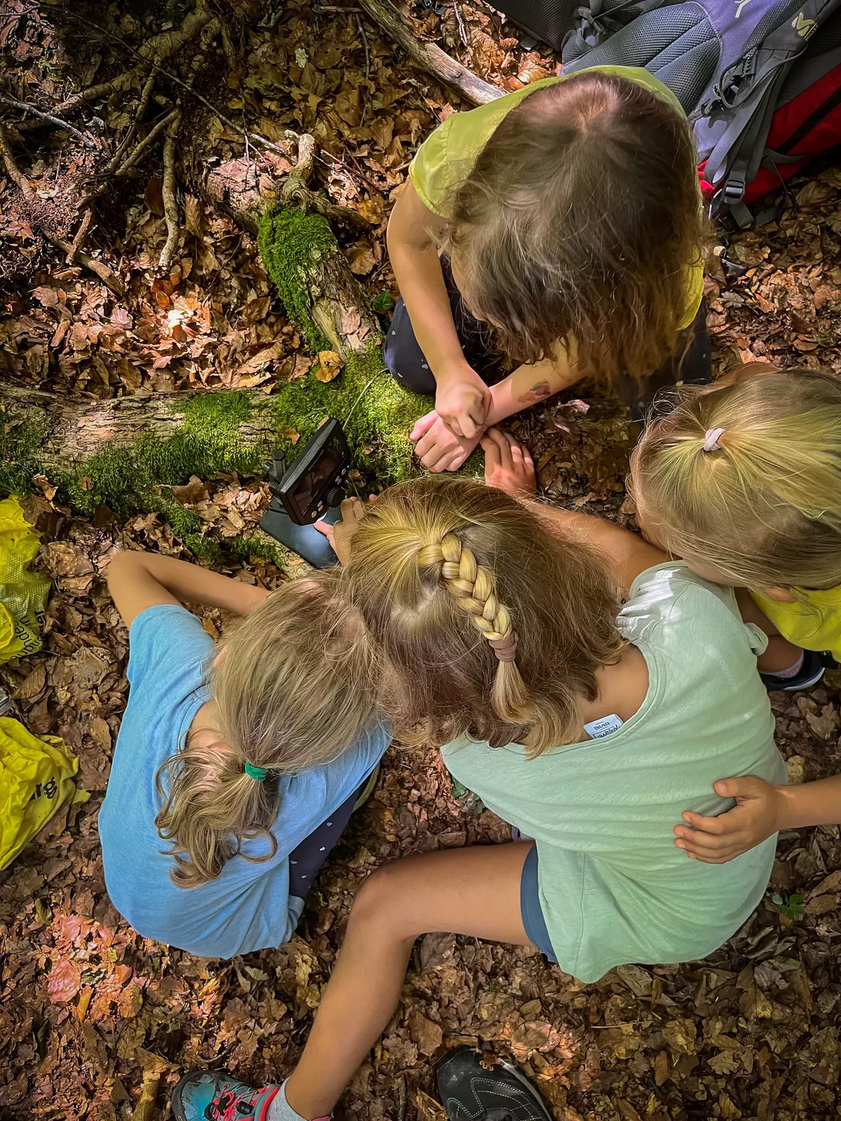 Kinder erforschen mit Mikroskop den Wald