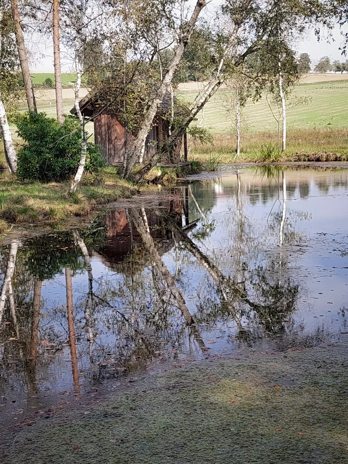 Alte Holzhütte direkt neben einem Moor bei einem Feld