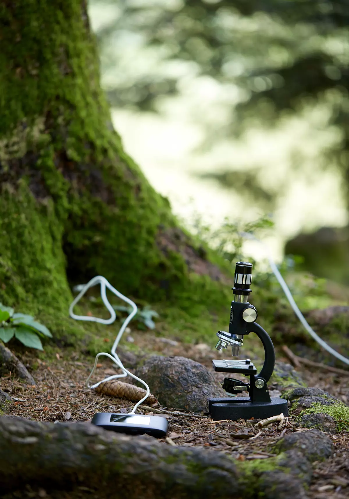 Untersuchungsgeräte am Waldboden in der Nähe eines Baumes