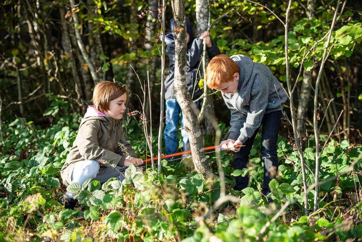 Kinder mit Säge am Baum