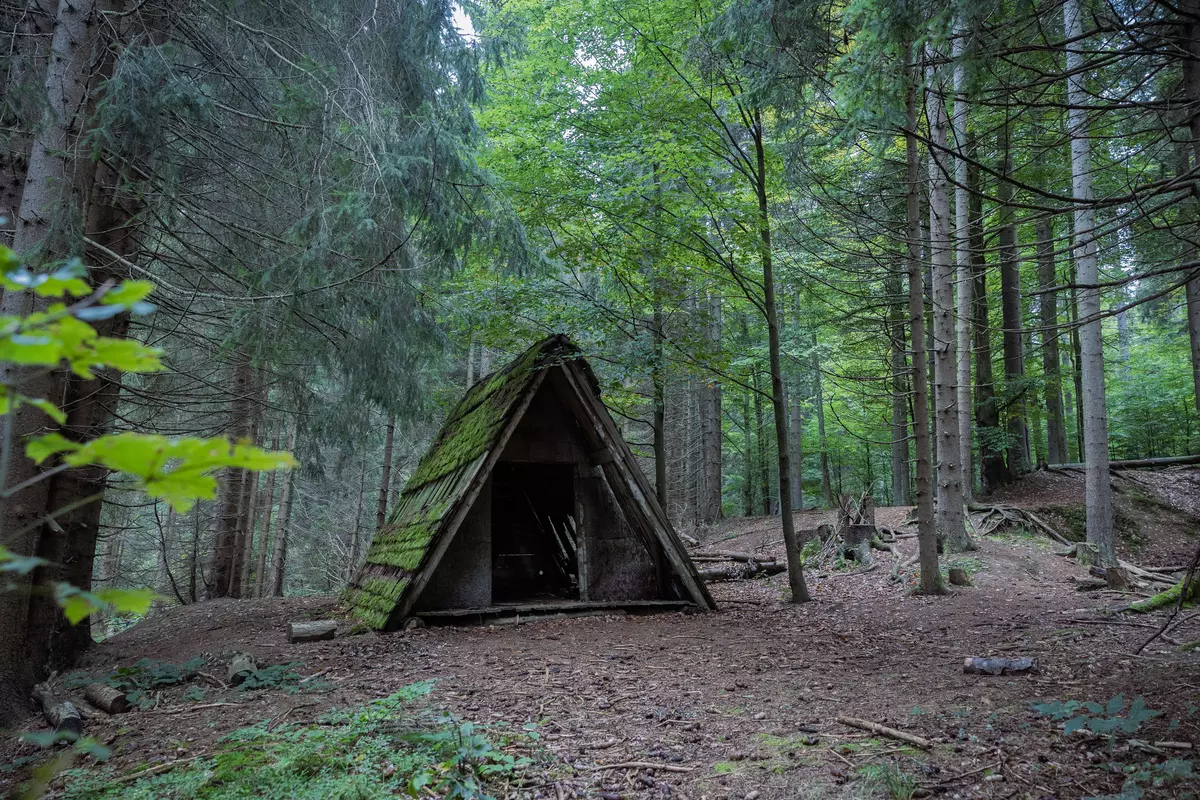 Holzhütte im Wald