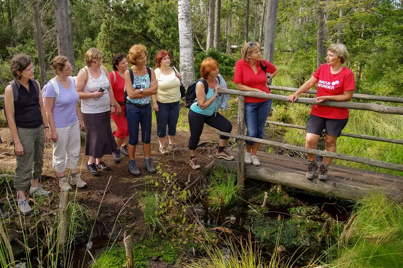 Gruppe mit weiblichem Guide auf Holzbrücke im Moor