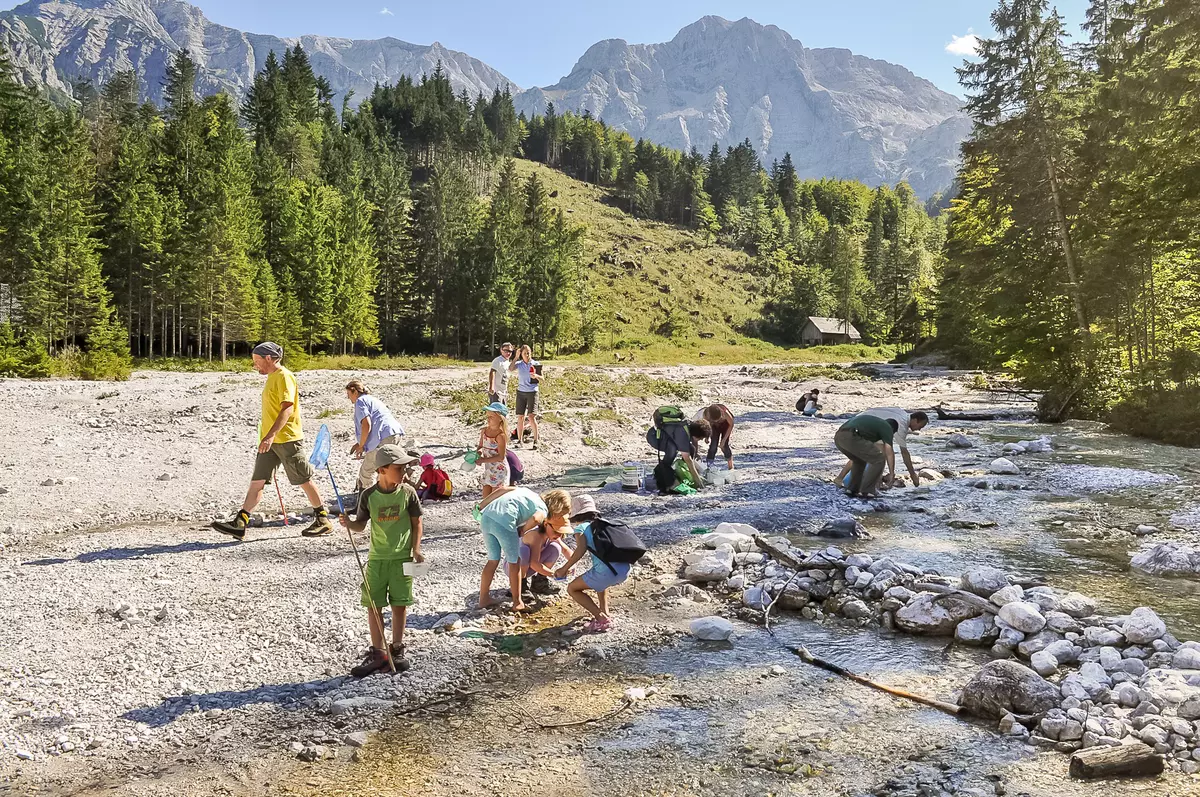 Gruppe erforscht Gebirgsbach