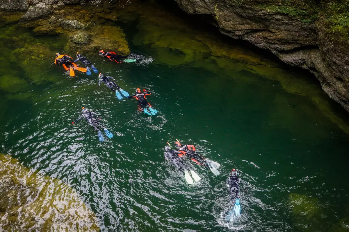 Gruppe von Schnochlern von oben entlang Felsen