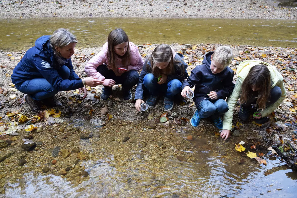Kinder forschen mit Becherlupe am Wasser