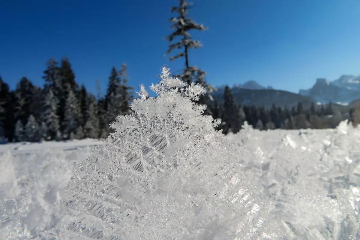 Eiskristalle