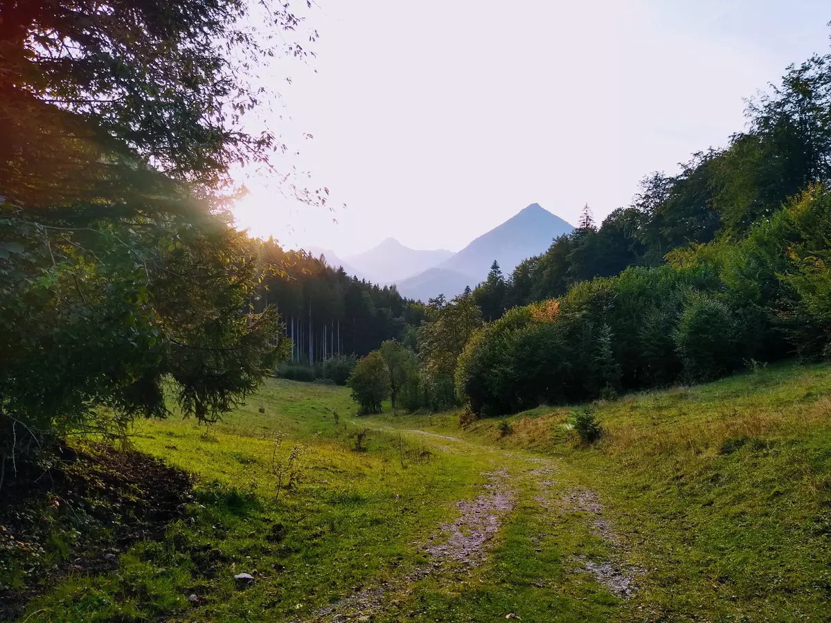 Weg führt über Alm mit Blick Richtung Berge
