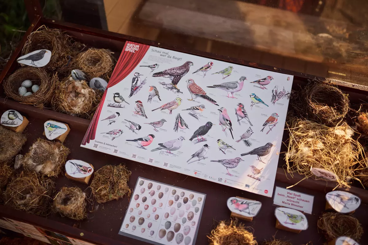 NATURSCHAUSPIEL-Tour