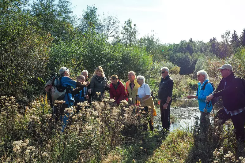 Gruppe im herbstlichen Moor