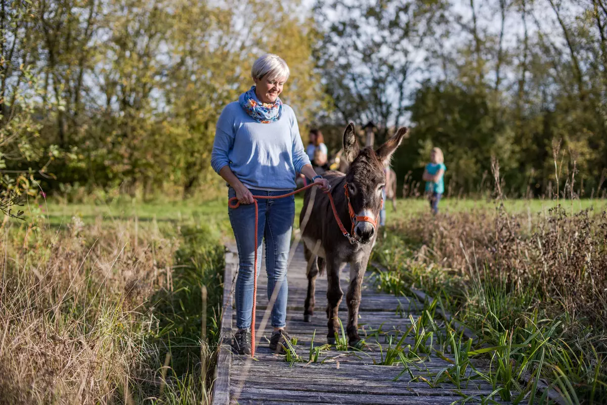 Weiblicher Guide mit Esel auf Holzsteg