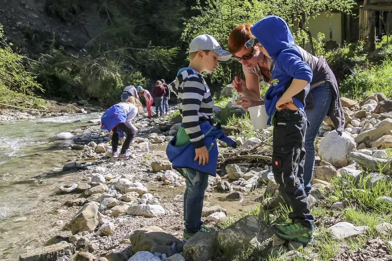 Guide zeigt Kindern Wassertierchen in der Becherlupe