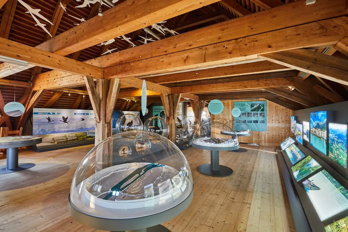 Museum von innen mit Ausstellungsstücken