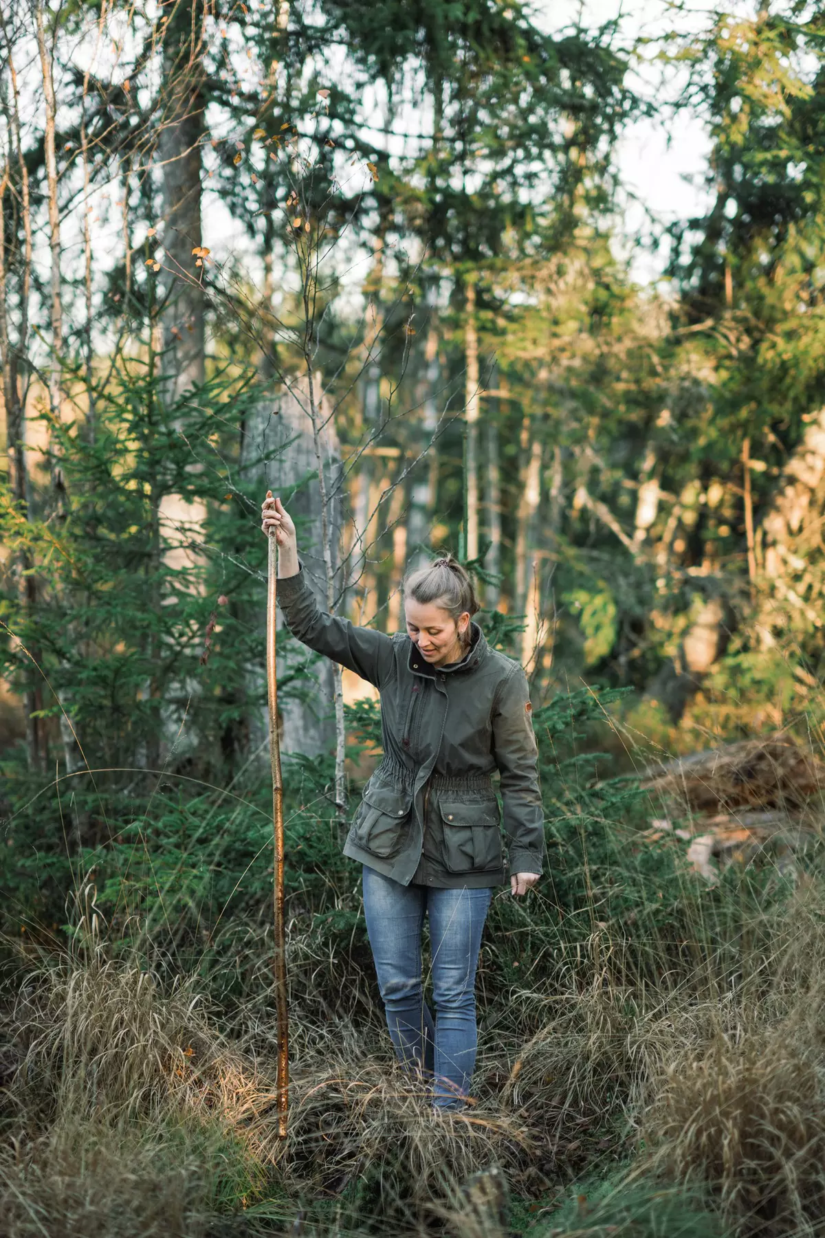 Guide mit Stock im Wald