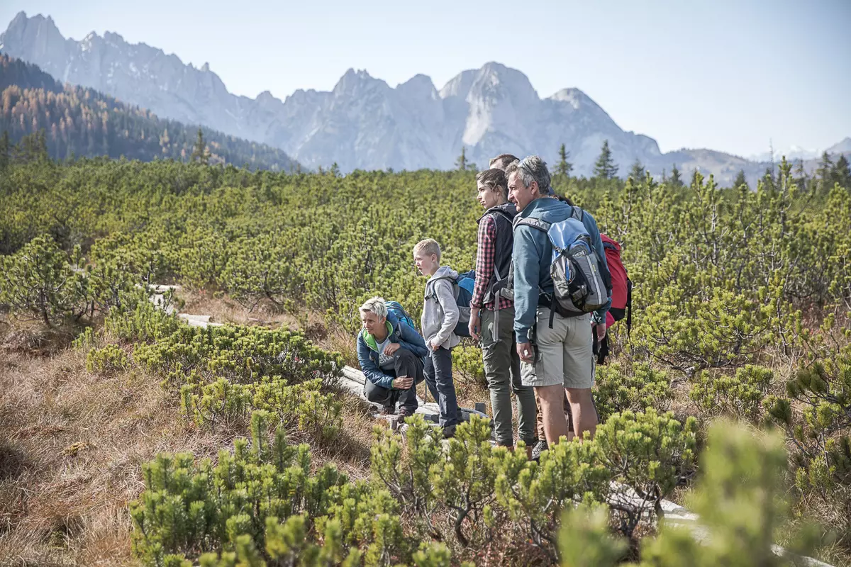 Guide mit Teilnehmenden am Hochmoor