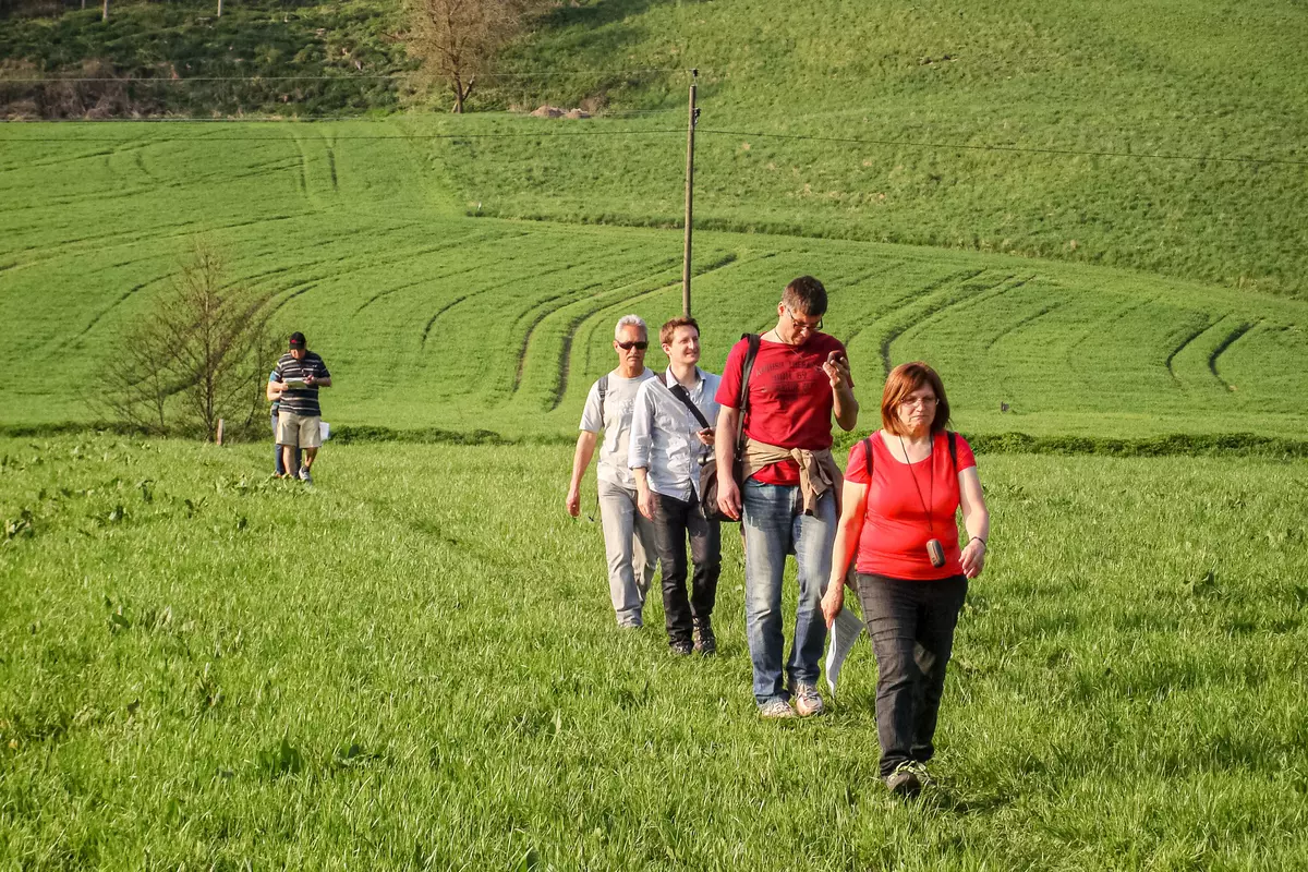 Gruppe im Gänsemarsch auf Wiese
