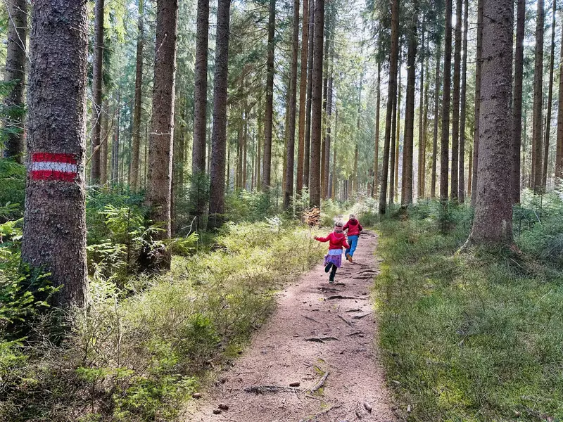 Zwei Kinder laufen einen Waldpfad entlang