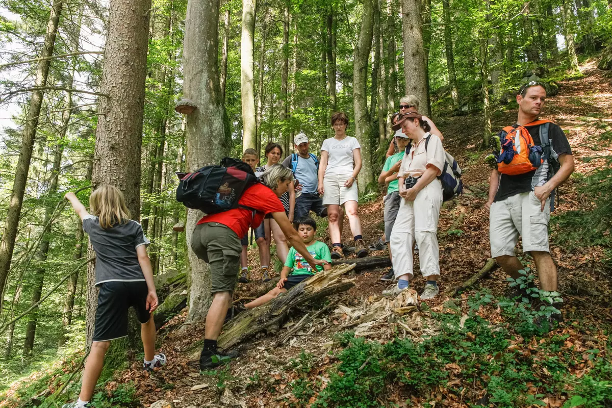 Gruppe im steilen Schluchtwald weglos