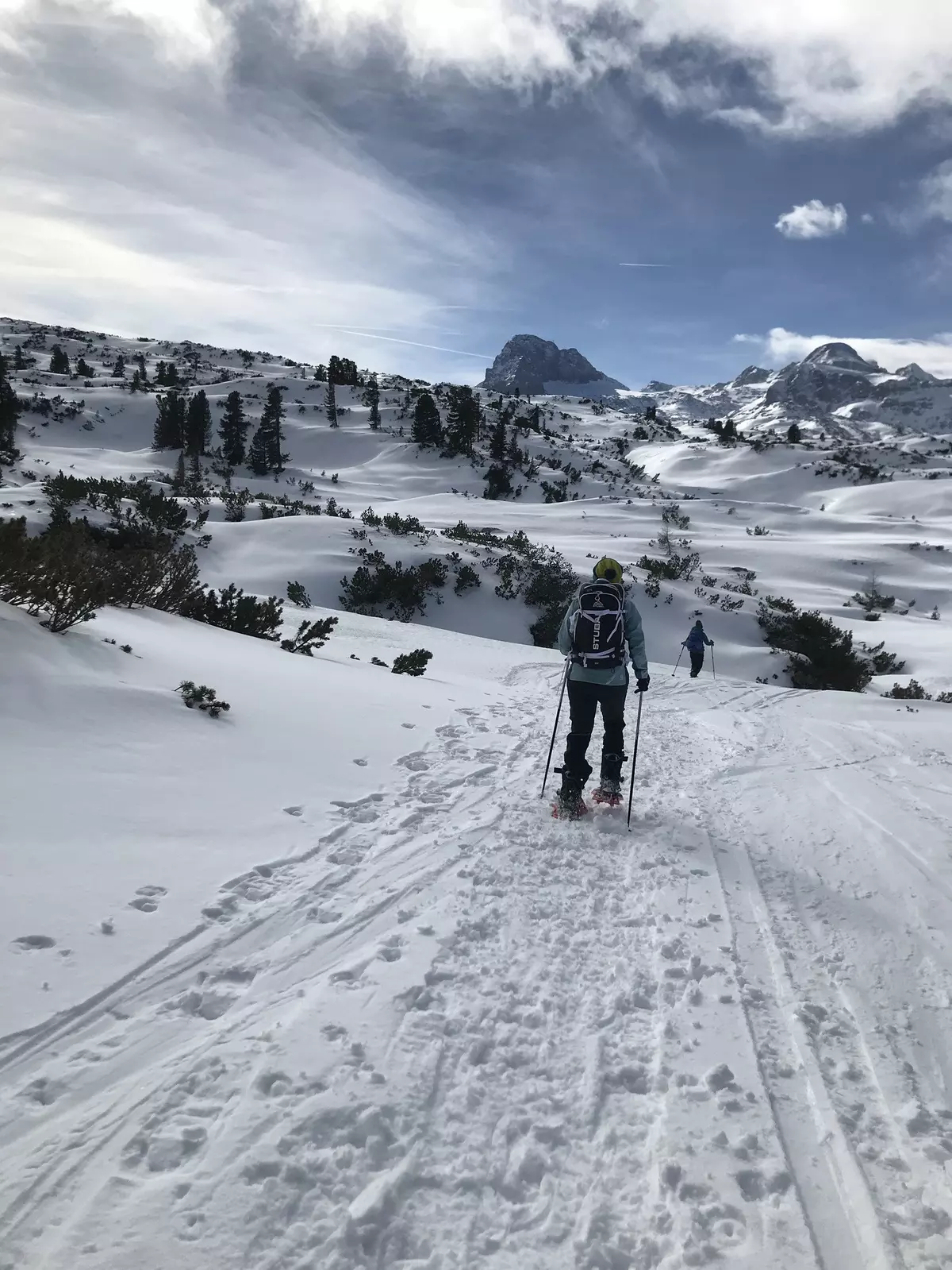 Schneeschuhwanderer in Winterlandschaft