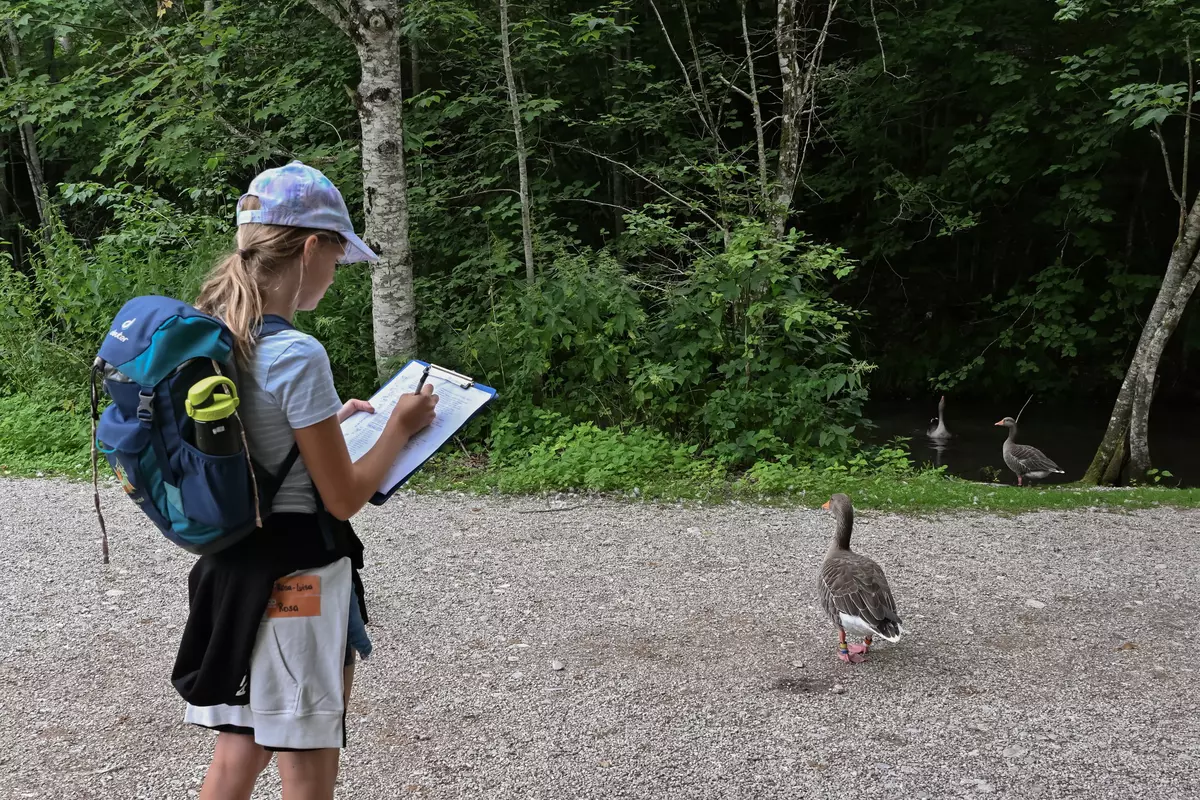 Kind macht Notizen zu Gans