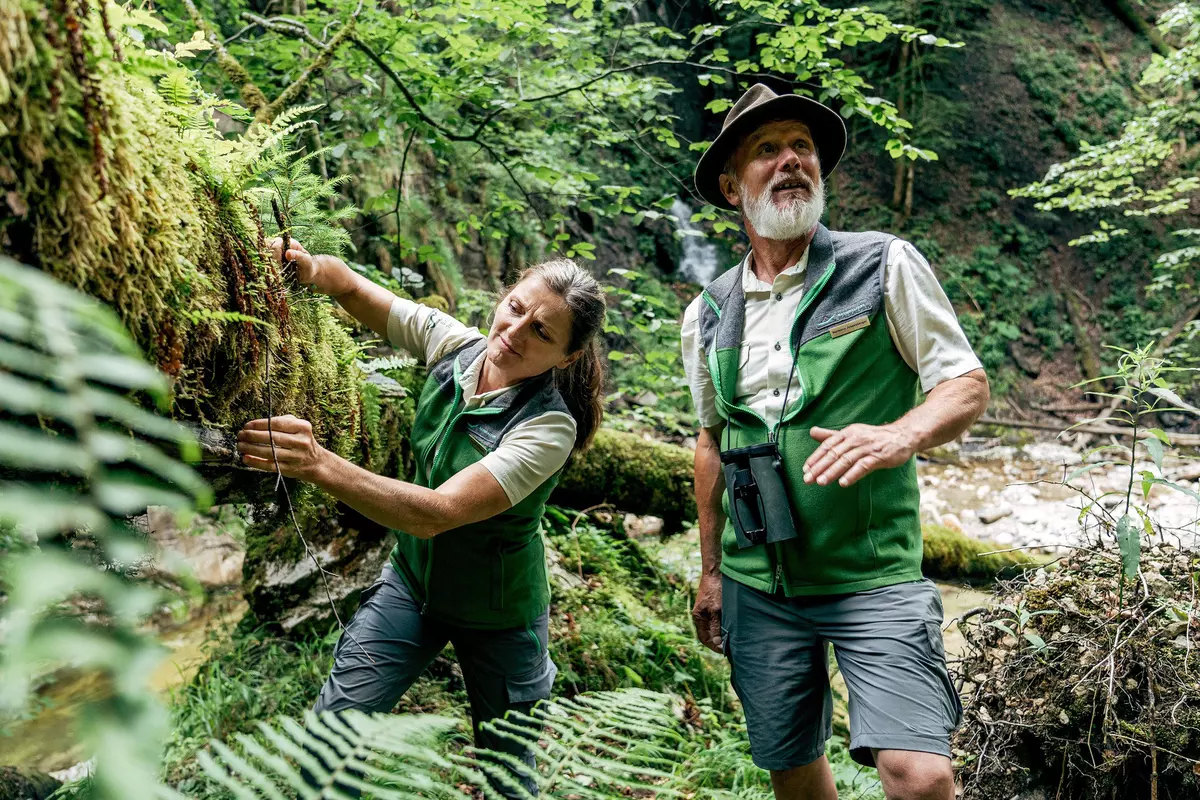 Ranger stehen im Wald