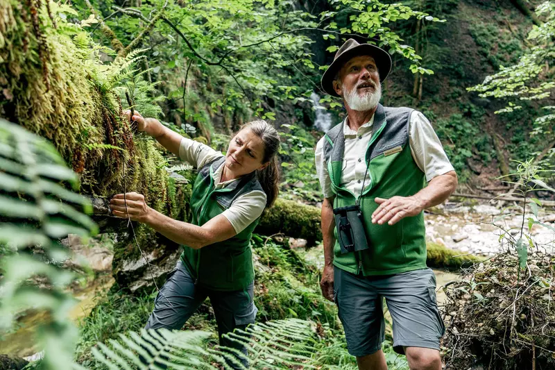 Ranger stehen im Wald