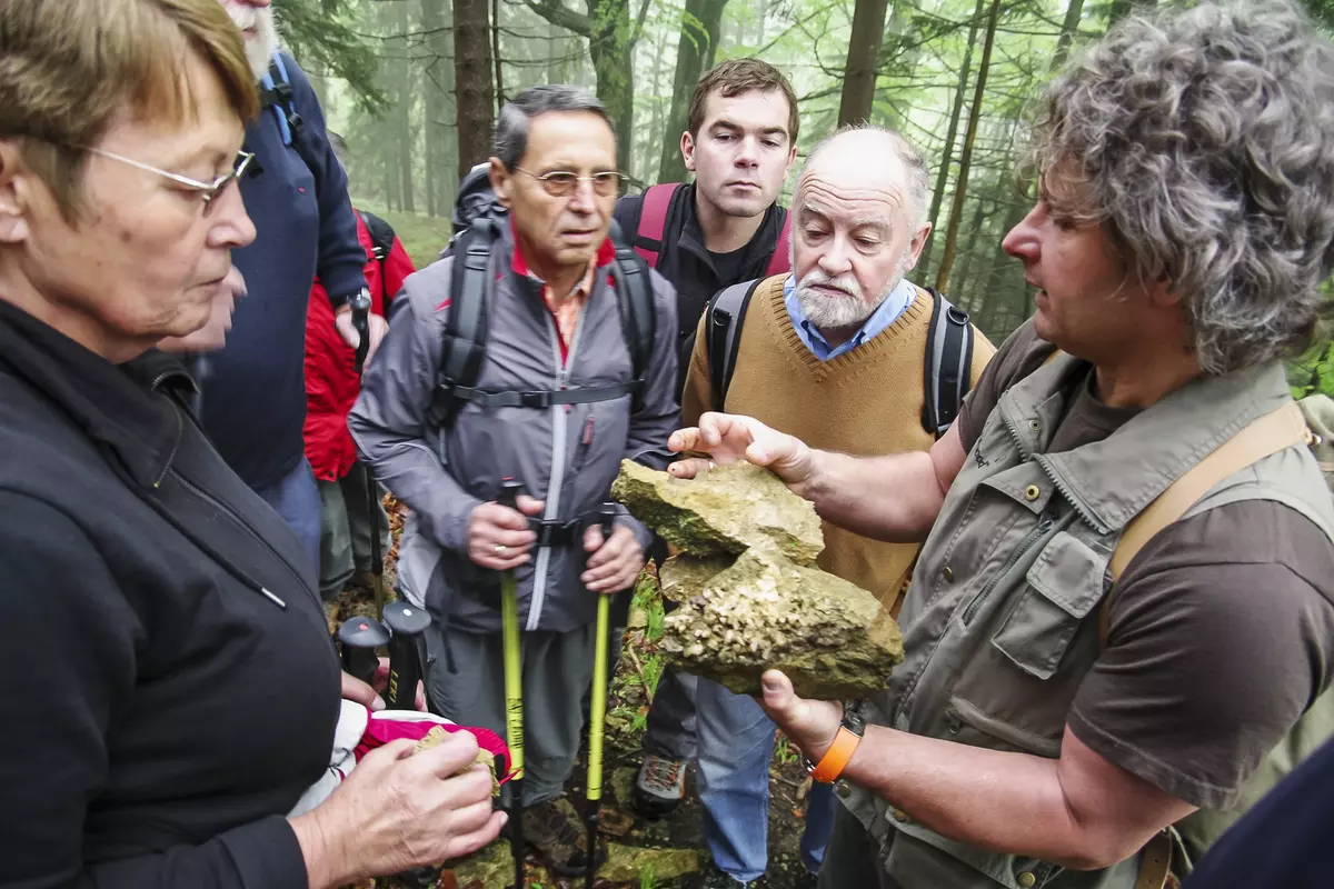 Guide zeigt geologische Fundstücke