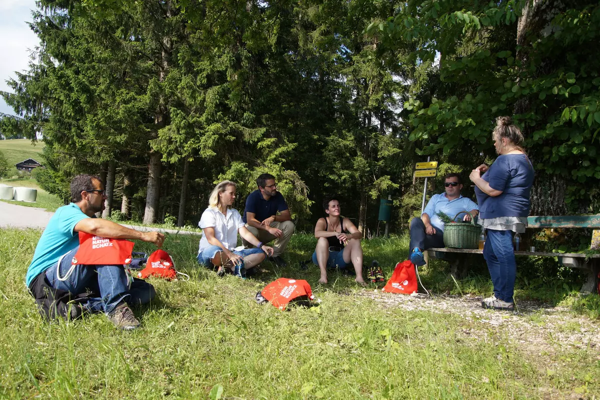 Gruppe sitzt mit Guide unter einem Baum im Schatten