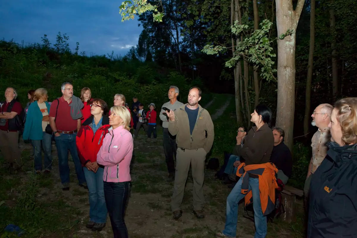 Gruppe am Waldrand beobachtet Fledermäuse