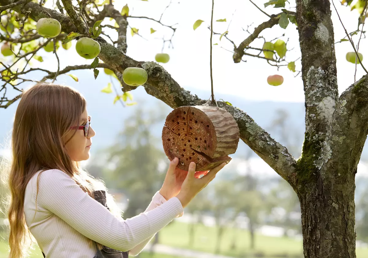 Mädchen bei einem Apfelbaum