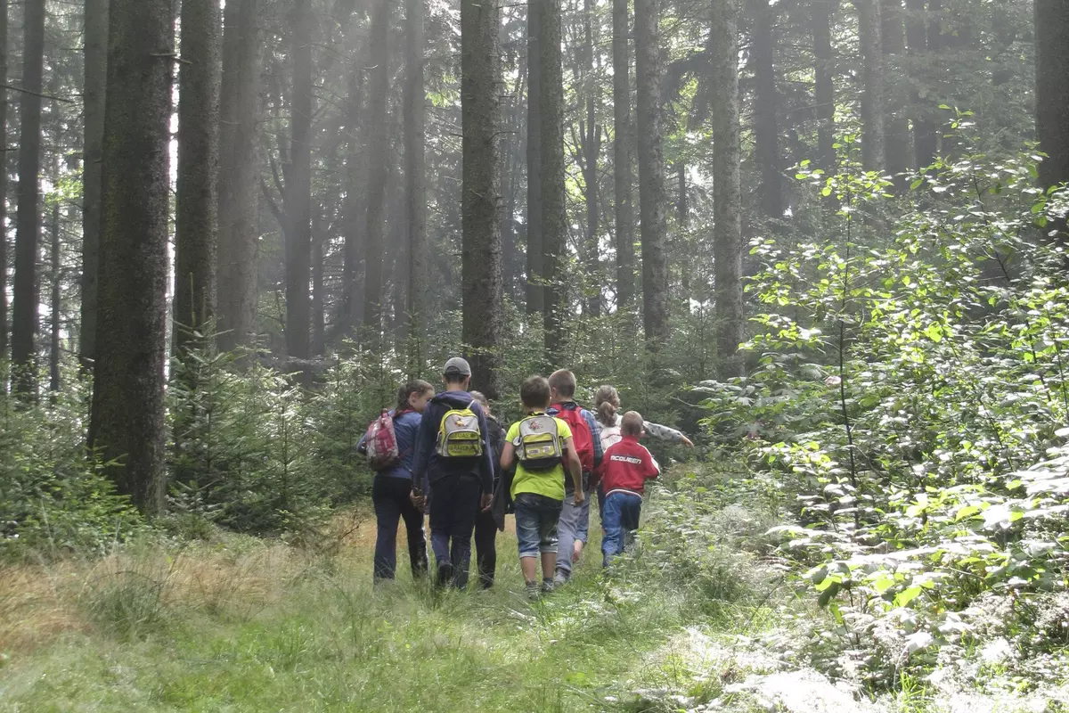 Kindergruppe läuft durch den Wald